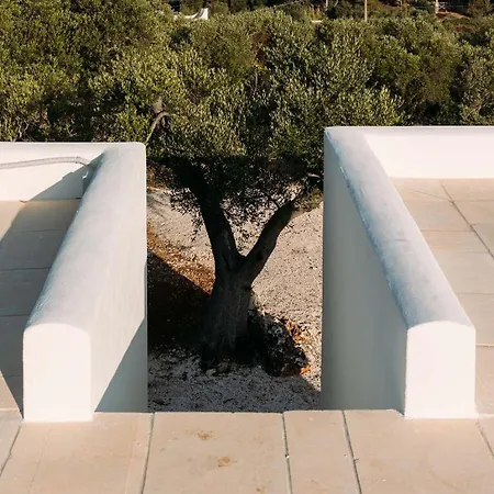 Casa Regina Σπίτι διακοπών Ostuni